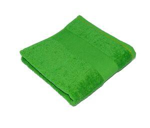 Bear Dream CT4500 - Guest Towel Green