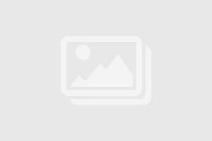 Gildan GN960 - Huvtröja med dragkedja för män
